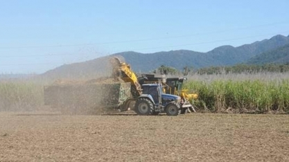 Chuvas elevam produtividade da cana do Centro-Sul, mas afetam ATR, diz CTC