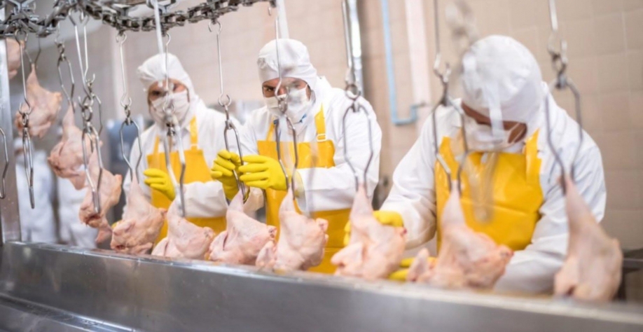 Exportações de carne de frango devem crescer 11% em 2022