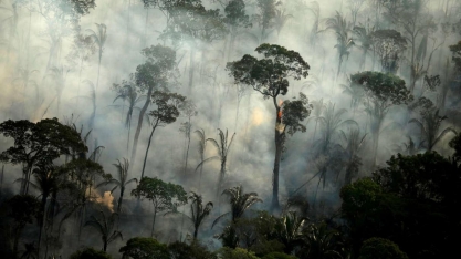 Em 100 dias, novo governo poderia 'destravar' Amazônia, defende iniciativa