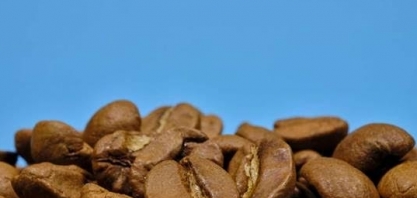 Café: Exportação em setembro cai 1,28%, para 2,938 mi de sacas