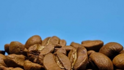 Café: Exportação em setembro cai 1,28%, para 2,938 mi de sacas