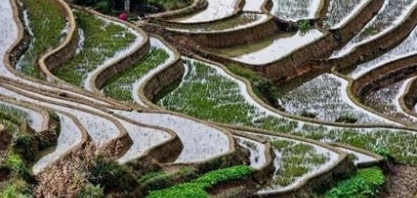 China aumentará investimento em infraestrutura rural