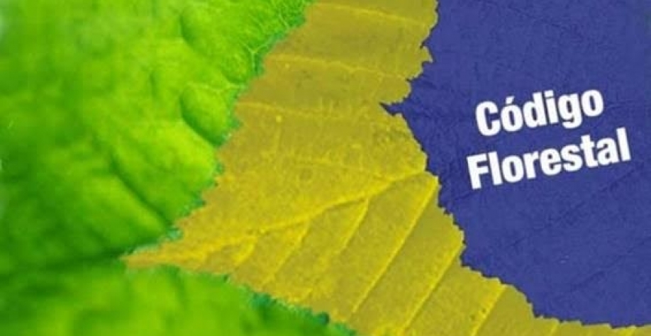 É preciso cumprir o Código Florestal Brasileiro - Por Carmen Perez