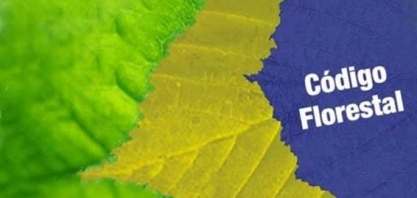 É preciso cumprir o Código Florestal Brasileiro - Por Carmen Perez