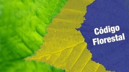 É preciso cumprir o Código Florestal Brasileiro - Por Carmen Perez