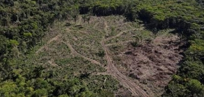 Alemanha sinaliza desbloqueio de repasses ao Fundo Amazônia