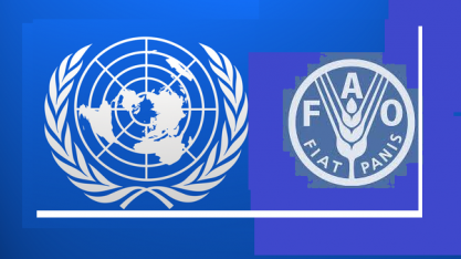 5 sistemas agrícolas seculares ainda utilizados no mundo