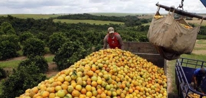 Suco: Consumo já cai com preços mais altos e antecipa 2023 recessivo