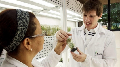 CTC: Lucro líquido no 2º trimestre cai 4,6%, para R$ 26,26 milhões