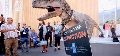 Lobby de combustíveis fósseis é maior que delegações africanas na COP