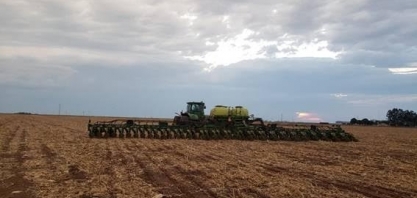 Safra de soja pode ficar abaixo de 150 milhões de toneladas por La Niña