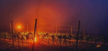 Agricultores do Sul usam fogo para salvar lavouras da geada