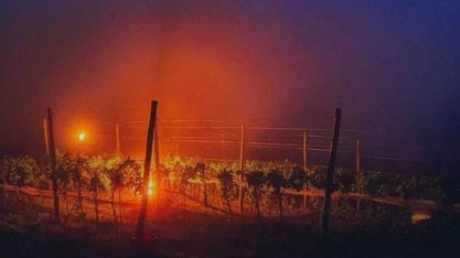 Agricultores do Sul usam fogo para salvar lavouras da geada