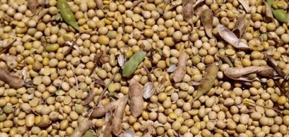 GO: Deputados aprovam contribuição do agro, alvo de críticas de produtores