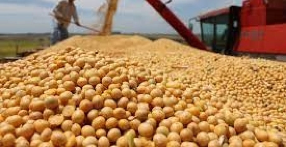 Importações de soja pela UE somam 3,6 milhões de toneladas