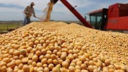Importações de soja pela UE somam 3,6 milhões de toneladas