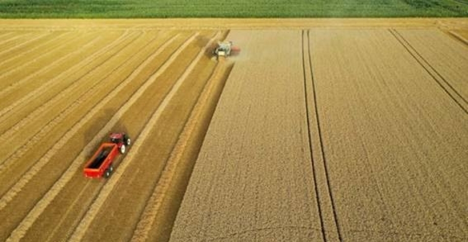 Conforme previsão da Conab, as lavouras de soja devem se expandir sobre áreas de pastagens degradadas (Imagem: REUTERS/Pascal Rossignol)
