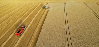 Valor Bruto da Produção agropecuária em 2023 deve crescer 3%, diz governo
