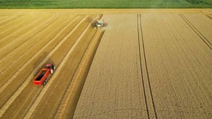 Valor Bruto da Produção agropecuária em 2023 deve crescer 3%, diz governo