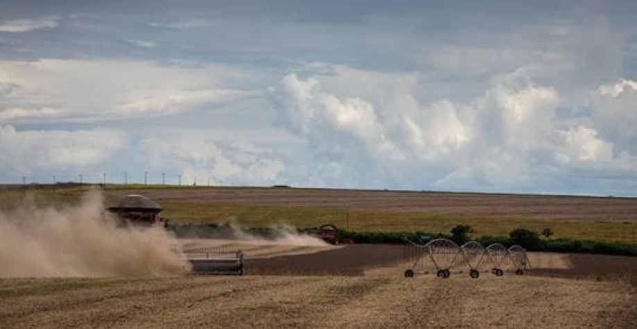 Megatendências do agronegócio - Por Décio Luiz Gazzoni e e Elísio Contini