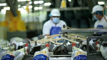 Inflação/EUA: Peru é trocado por frango frito na ceia de Ação de Graças