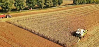 França reduz estimativas para safras de milho e beterraba sacarina