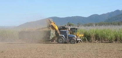 Safras projeta aumento de 3,67% na moagem de cana 2023/24 e mix açucareiro