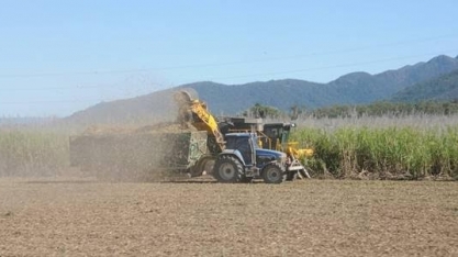 Safras projeta aumento de 3,67% na moagem de cana 2023/24 e mix açucareiro