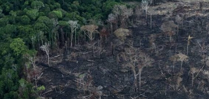 O Brasil e o mundo na COP-27 – Por Celso Ming