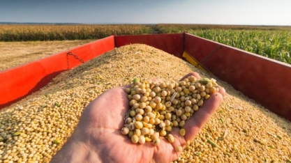 Qual o tamanho da próxima safra brasileira de grãos?