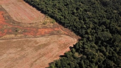 Noruega promete aumentar repasses para proteção da Amazônia com Lula