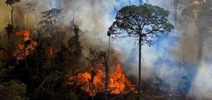Noruega anuncia que vai desbloquear Fundo Amazônia
