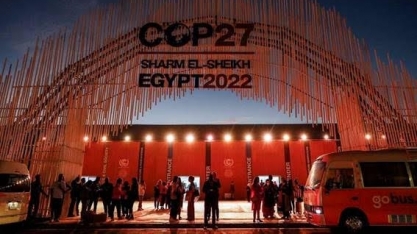 Brasil fica de fora de parceria por florestas na COP27