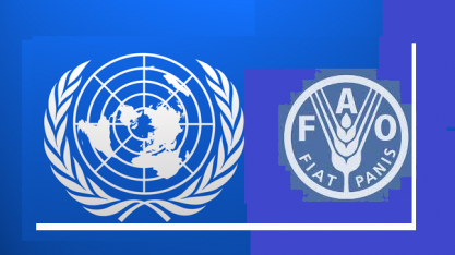 Índice de Preços de Alimentos recua pelo 7º mês consecutivo