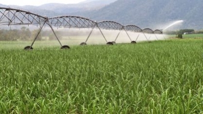 Tereos tem projeto de pivô central de irrigação em canaviais