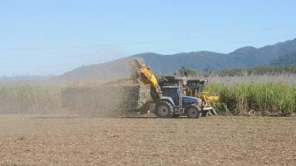 StoneX eleva previsão para nova safra de cana do Centro-Sul