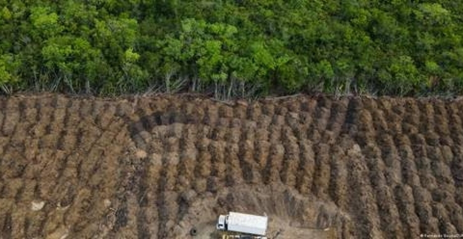 Emissões brasileiras atingem maior nível em quase 20 anos