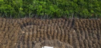 Emissões brasileiras atingem maior nível em quase 20 anos