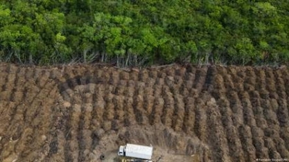 Emissões brasileiras atingem maior nível em quase 20 anos