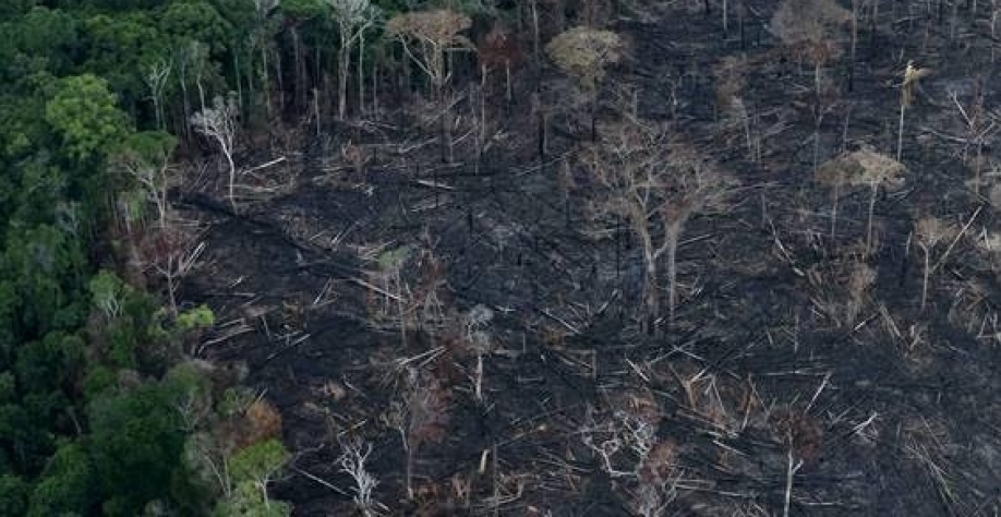 Dados de desmatamento, prontos há semanas, só devem sair nesta quarta