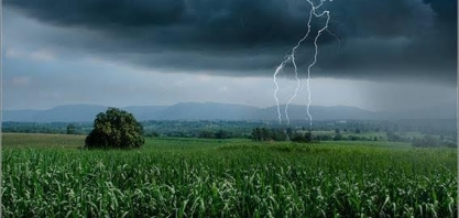 Usinas de cana encerram temporada com chuvas prejudicando colheita