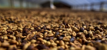 Café: Retrospectiva 2022. O que esperar de 2023?–Por Marcelo Fraga Moreira