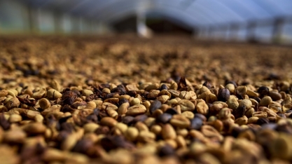 Café: Retrospectiva 2022. O que esperar de 2023?–Por Marcelo Fraga Moreira