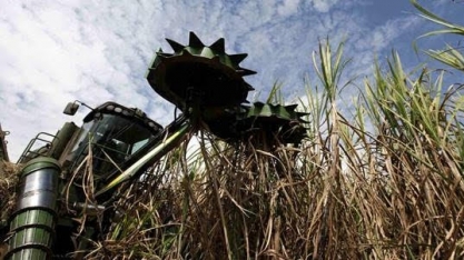 Usina Alvorada tem recuperação aprovada e está apta até para ser vendida