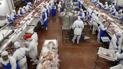 Abate de bovinos sobe 11,9% no 3º trimestre ante ano anterior