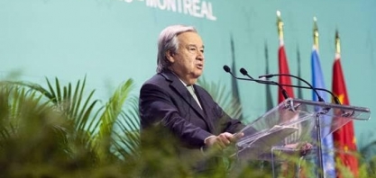 COP15 da biodiversidade começa com racha sobre conservação