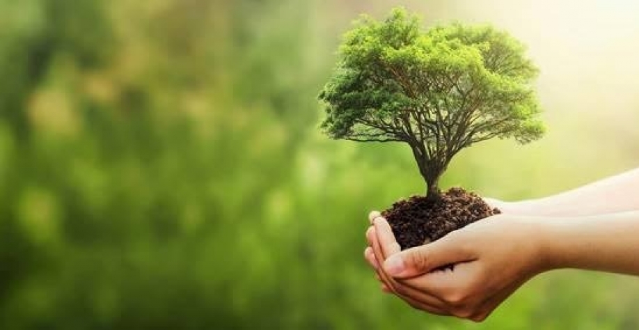 Transição sugere compromisso com sustentabilidade para a Agricultura