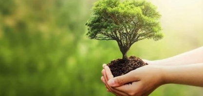 Transição sugere compromisso com sustentabilidade para a Agricultura