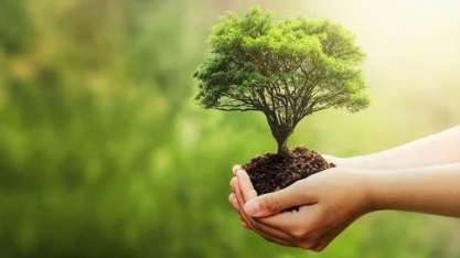 Transição sugere compromisso com sustentabilidade para a Agricultura