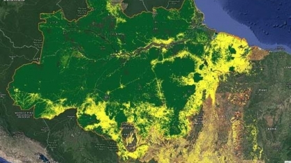 Lula herda desmatamento recorde, apesar de alívio na taxa anual